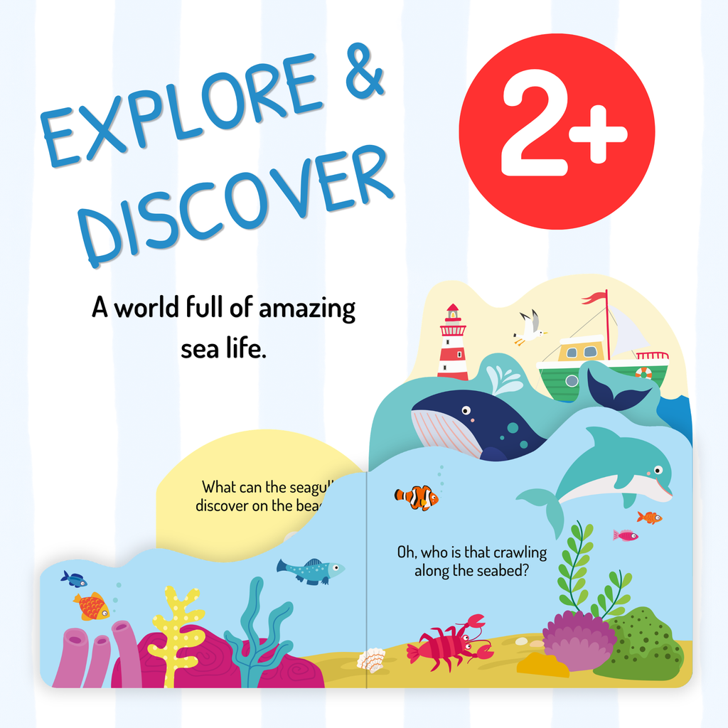 Explore & Discover – Ocean
