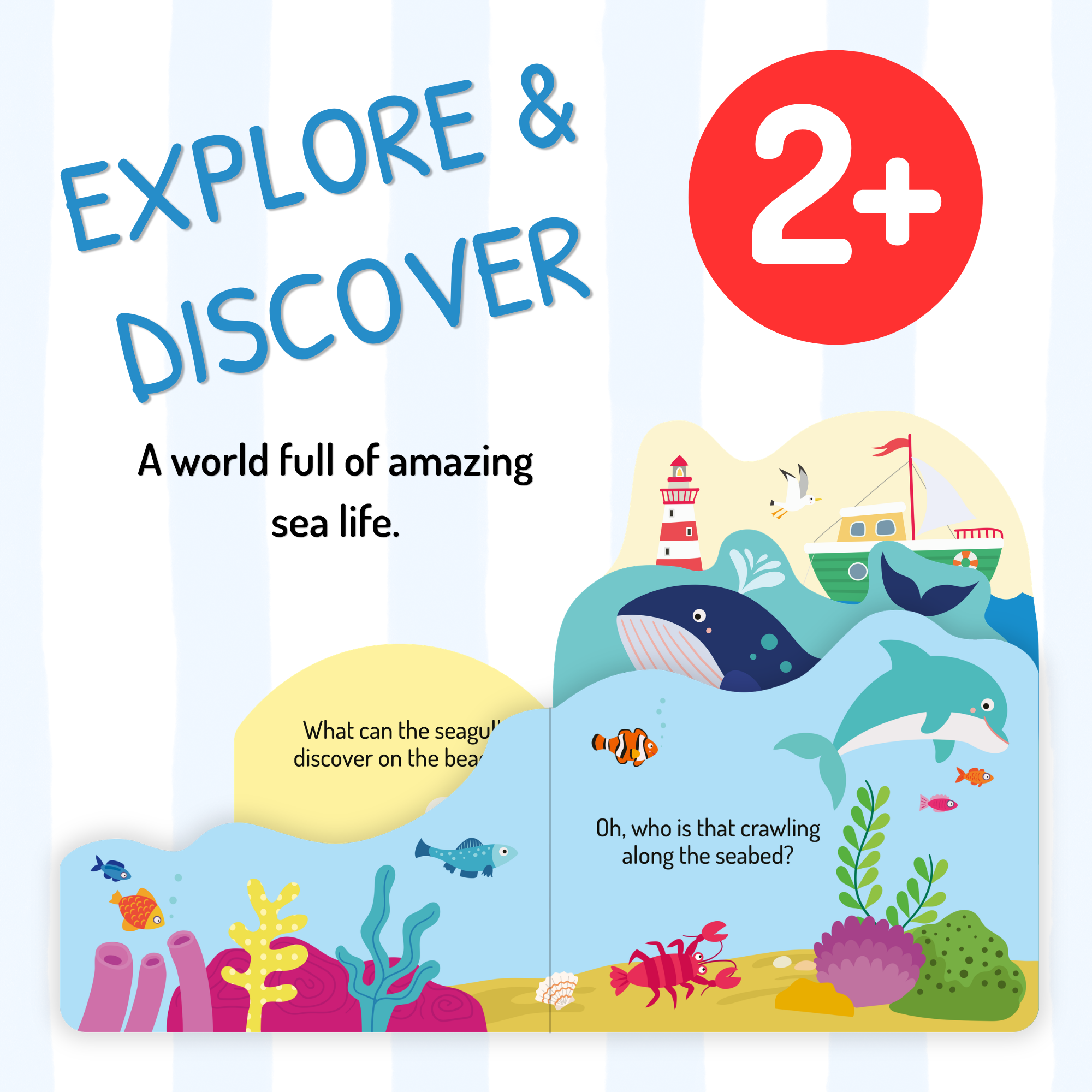 Explore & Discover – Ocean