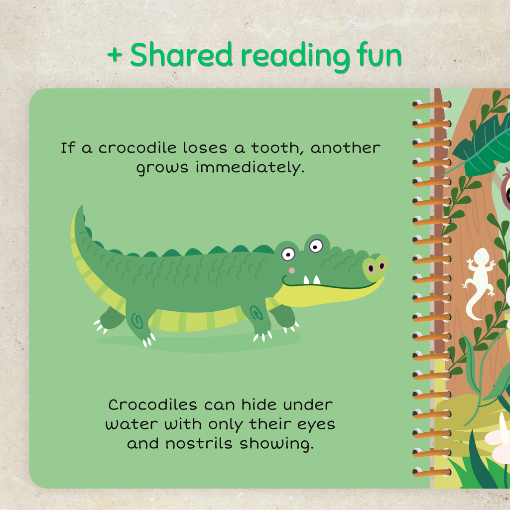 Aqua Color Fun – Wild Animals