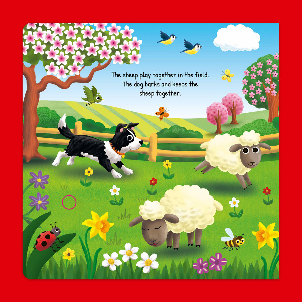 Softtouch Sound Book – On The Farm
