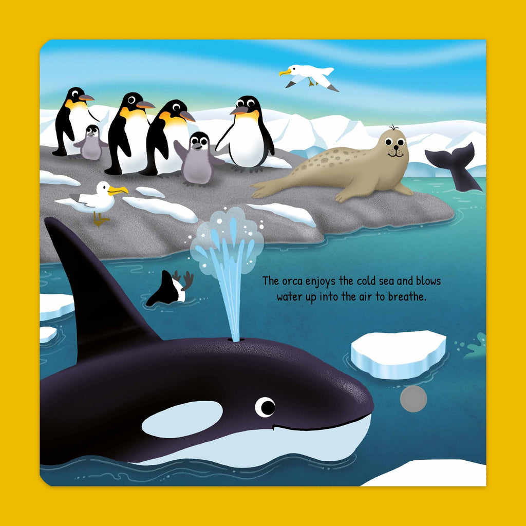 Softtouch Sound Book – Wild Animals