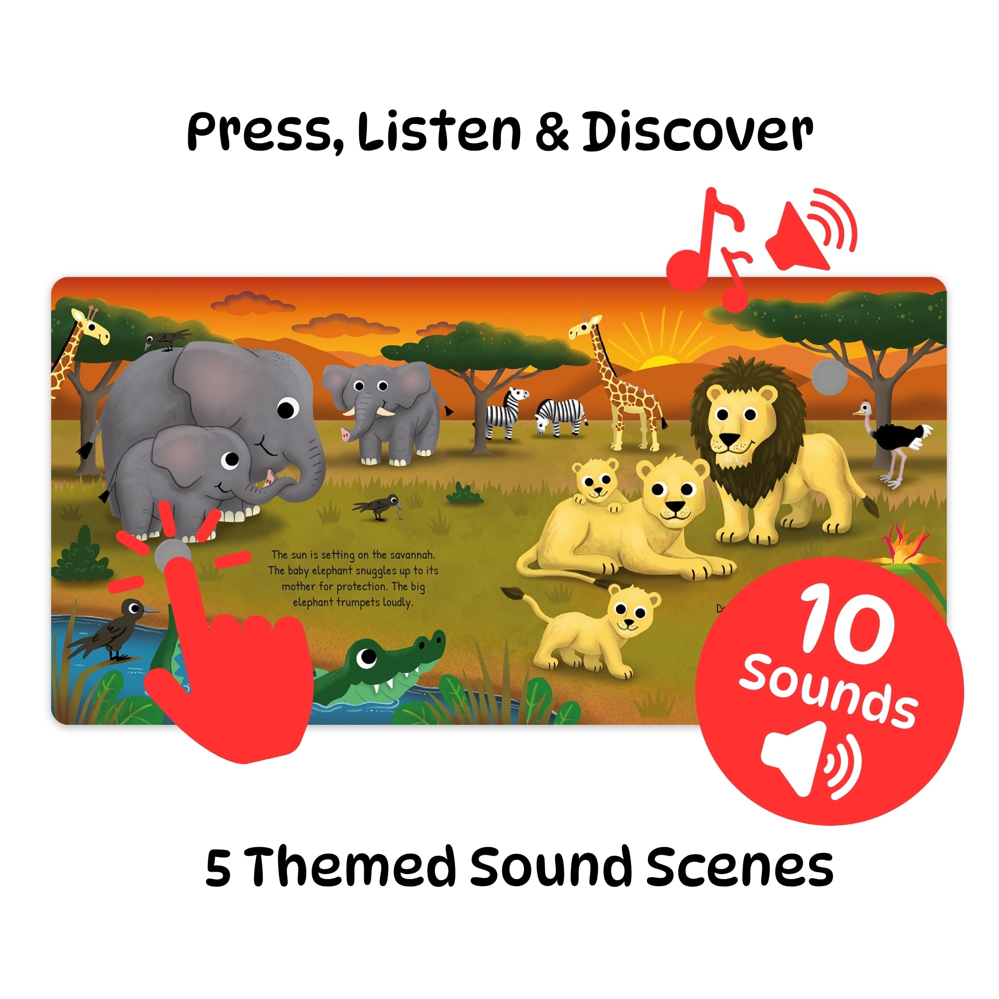 Softtouch Sound Book – Wild Animals